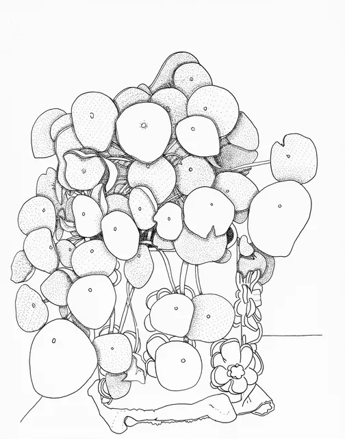 One