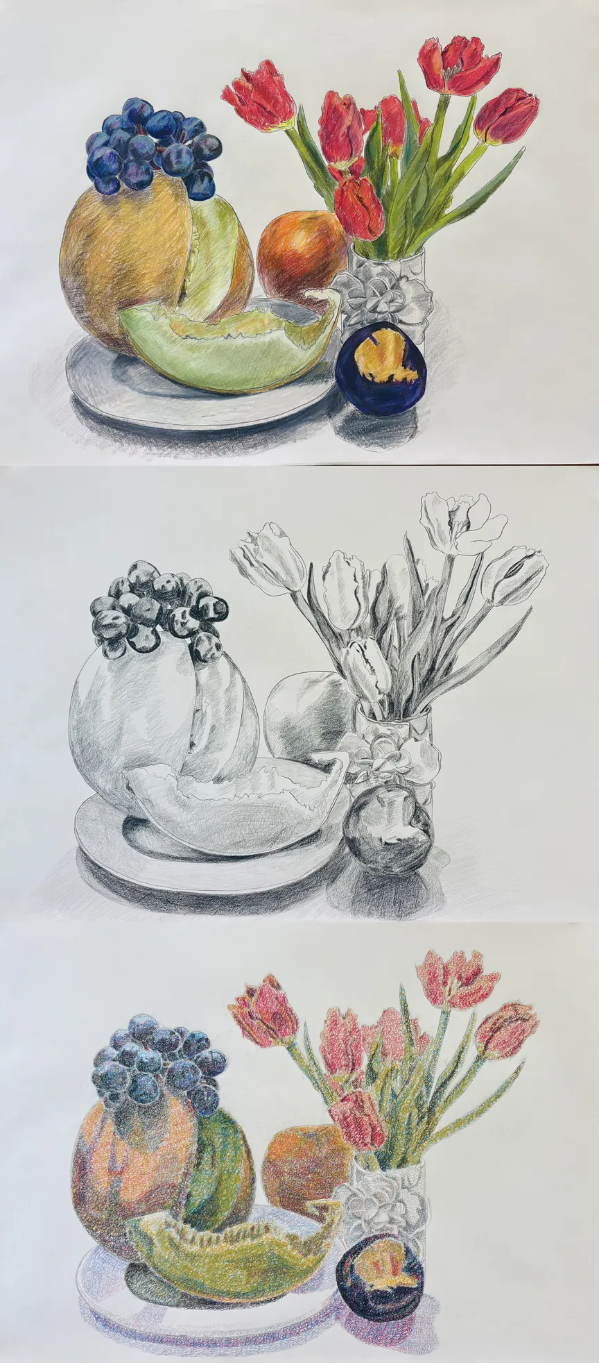 Tulips and Melon